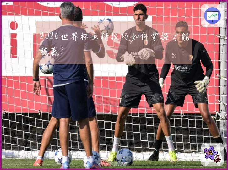 2026世界杯竞猜技巧如何掌握才能稳赢？