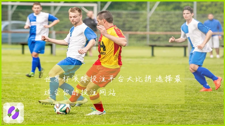 世界杯滚球投注平台大比拼 选择最适合你的投注网站