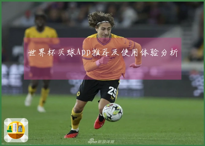 世界杯买球App推荐及使用体验分析