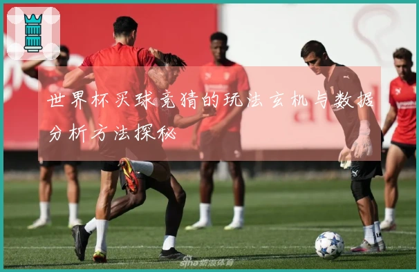 世界杯买球竞猜的玩法玄机与数据分析方法探秘