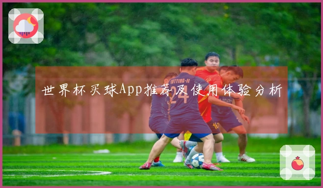 世界杯买球App推荐及使用体验分析