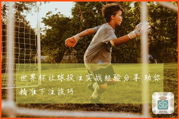 世界杯让球投注实战经验分享 助你精准下注技巧