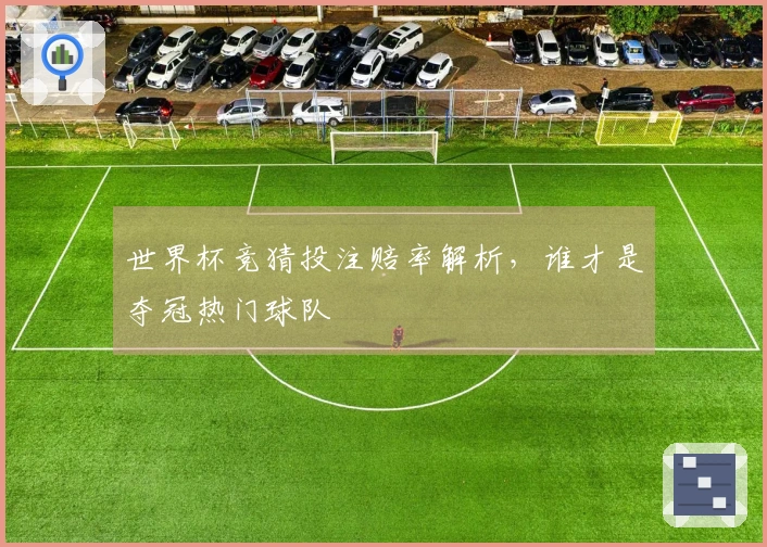 世界杯竞猜投注赔率解析,谁才是夺冠热门球队